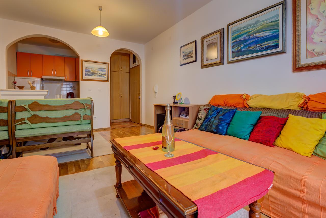 Allegro Apartment Sekulic Petrovac 外观 照片